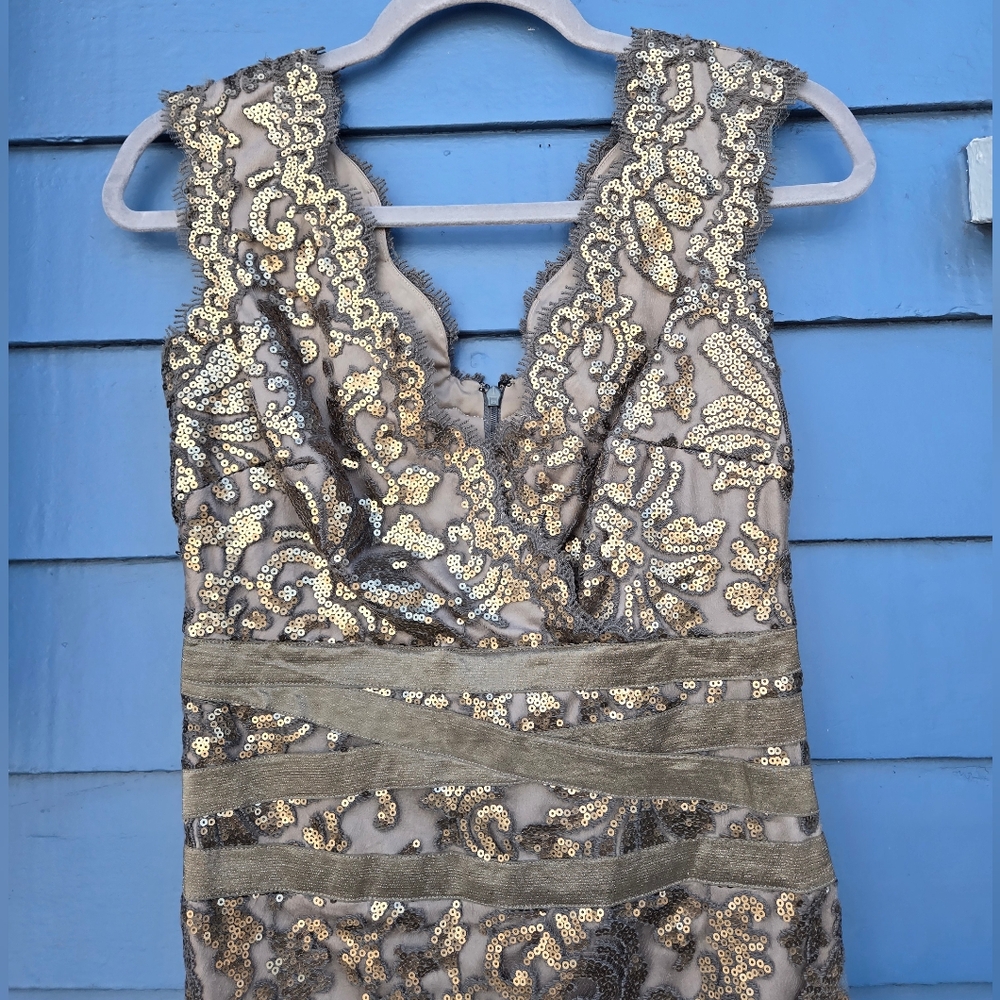 Tadashi Shoji Metallic Silver Champagne Lace Sheath Midi Dress - Picture 4 of 10